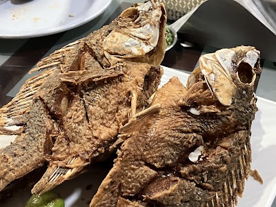 GENESIS FISH HOUSE | Bisrate Gabriel | ጄነሲስ ዓሣ ቤት | ብስራተ ገብርኤል