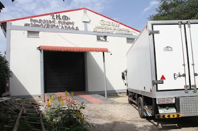 Gizew Medicine & Medical Supply Whole Sales